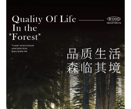 产品鉴赏 | “森”系列质感系木纹砖新品上市
