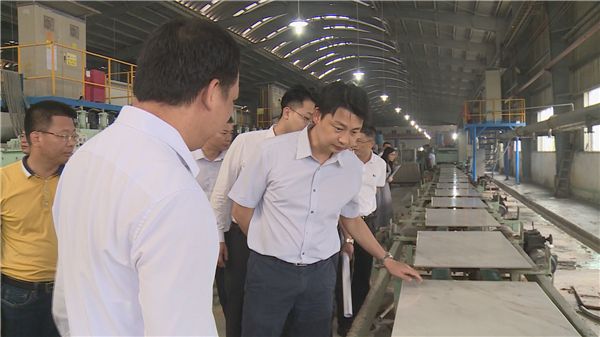阳江,阳西为博德点赞市县班子考察团