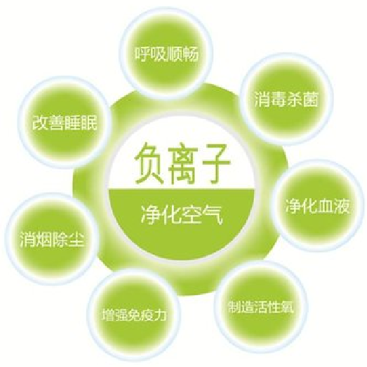 图片11.png