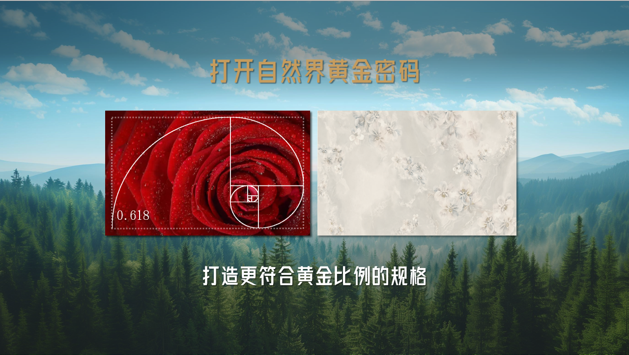 图片 3.png
